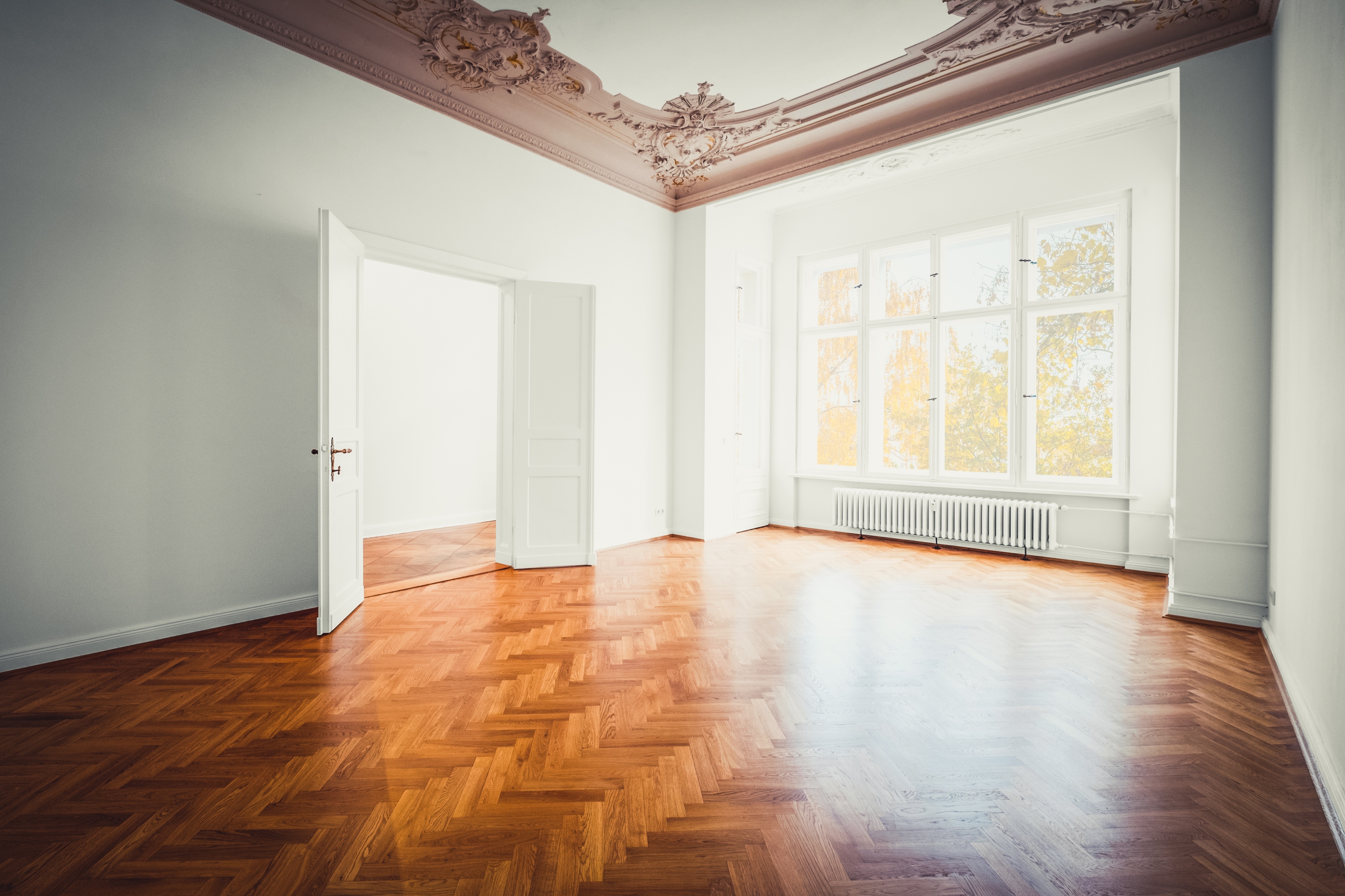 Sanierung hell Raum Stuck an Decke und Parkett